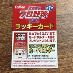 プロ野球チップス◆ラッキーカード◆カードホルダー◆2025◆第一弾