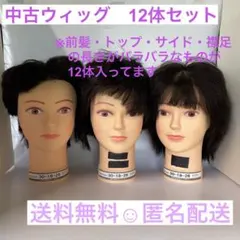 2026年最新】国家試験カットウィッグの人気アイテム - メルカリ