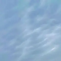 専用