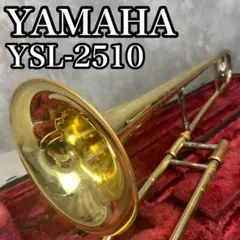 2025年最新】YSL-2510の人気アイテム - メルカリ