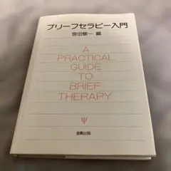 ブリーフセラピー入門　宮田敬一編