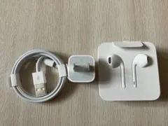 Apple イヤフォン USB充電ケーブル 充電器セット