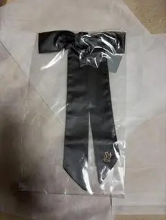 Item thumbnail for item 0ca4bbc5-1895-494f-a6d0-80e172e06313