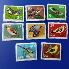 外国切手 ドイツ DDR 1973年 鳥類 保護されている鳴禽類（歌鳥）」8V