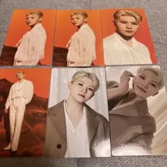 SEVENTEEN WORLD TOUR BE THE SUNトレカ　ウジ