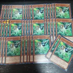 わるいバンギラス Lv.47 HP90 - メルカリ