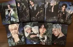 &TEAM Back to Life ソロジャケ9枚セット コンプ トレカ付き