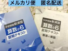 中学受験　新演習　算数小6 夏期テキスト　解答と解説