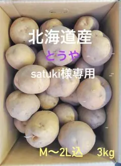 satuki様専用 北海道産とうや（M〜2Lサイズ込）3kg