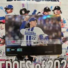 威圧 ドリームオーダー 横浜DeNAベイスターズ