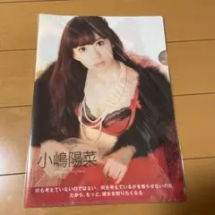 値下げ AKB48 小嶋陽菜 指原莉乃 他クリアファイル6枚セット