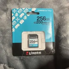 Kingston Canvas Go! Plus256GB MicroSDカード