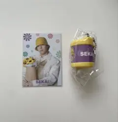 FANTASTICS 世界　SUNFLOWER フォトカ、コインケース