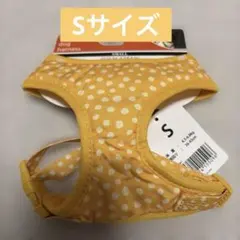 Item thumbnail for item 3416df45-83e6-425c-bc60-c74ba7079e72