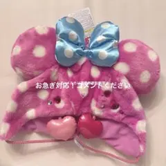 パルパルーザ　ファンキャップ　ミニーのファンダーランド ディズニーランド