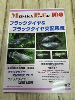 メダカ　プロファイル100 ブラックダイヤ&ブラックダイヤ交配系統