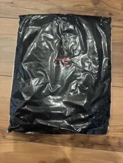 レペゼン地球　レペゼンフォックス　スタジオロゴTシャツ　レッド　Ｍサイズ