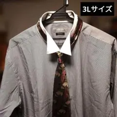 ウィングカラー ギンガムチェック 3L クレリックシャツネクタイセットアップ