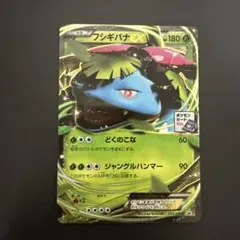 フシギバナEX PROMO XYシリーズプロモーションカードPROMO 0951 - メルカリ