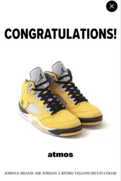 Nike Air Jordan 5 Retro 