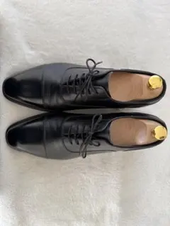 シェットランドフォックス 24.5