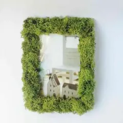 フォトフレーム＊アイスランドモス