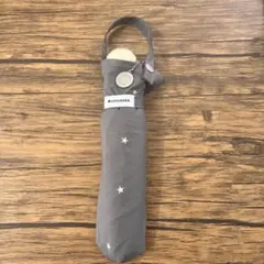 Item thumbnail for item 2b48d1d3-0a58-4f01-bfd7-4eed610201e0