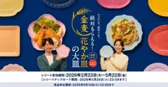花やか皿 5月 鈴蘭デザイン　金麦　３枚セット