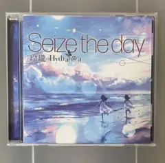 【9月末まで】玲瓏のHydrangea Seize the day