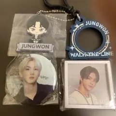 最終値下げ半額以下ENHYPEN セガラッキークジ　カプセルトイJUNGWON