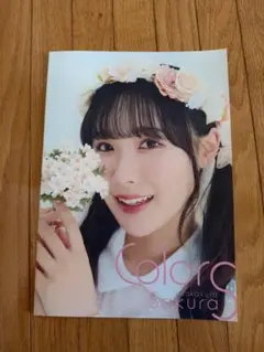 2026年最新】坂倉花 ブロマイドの人気アイテム - メルカリ