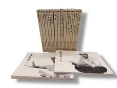 Item thumbnail for item 34cf8d42-2a26-4ba7-9e1c-ae22c6044f9c