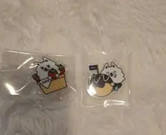 TXT 　プルバトゥ　ヨンモン　ご当地バッジ　スビン