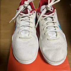 HYPERDUNK 2017 LOW EP ハイパーダンク 日本国旗カラー 赤白 - メルカリ
