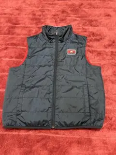 ダウンベスト160