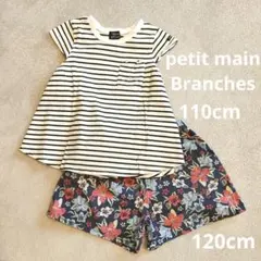 子供服　petit main　branshes  110　120