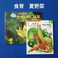 かがくプレイらんど　キンダーブックしぜん　食育　夏野菜　やさいずかん かがくプレイらんど キンダーブックしぜん 食育 夏野菜 はな やさいず