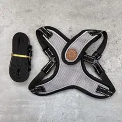 Item thumbnail for item 851a4271-f6b6-4509-8f4c-9882d5904e02