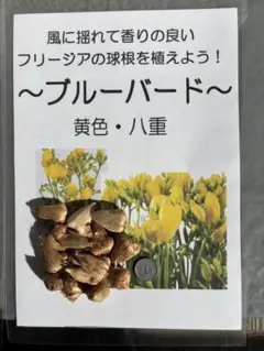 Arigatou様 リクエスト 2点 まとめ商品