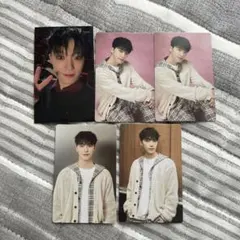 ディノ トレカ 日産スタジアム 特典トレカ CARAT LAND 2024