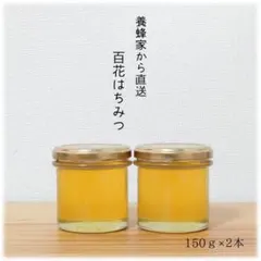国産〈信州産〉天然はちみつ 【アカシアはちみつ】2026年新蜜 300g
