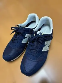 Item thumbnail for item 3f23ef99-bcff-495a-a761-215a661e3c16