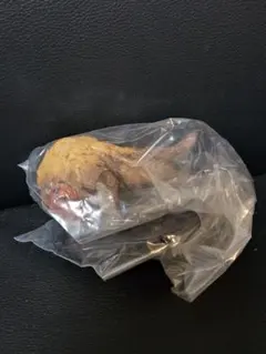 モンスターハンター スタンダードモデル Plus Vol.27 ドシャグマ