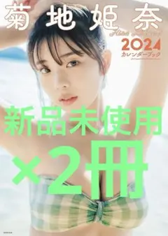 2025年最新】菊地姫奈さんカレンダーブックの人気アイテム