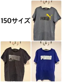 男の子　子供服　まとめ売り　150〜160 スポーツウェア