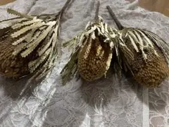 Item thumbnail for item 9093601a-1b29-4a29-b66d-d3dcb13a5263