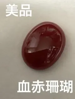 珊瑚サンゴ17.4mm、重约2.88g - メルカリ