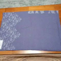 KOREAN AIR ロゴ入り 薄手毛布