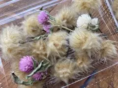 あやの様 リクエスト 2点 まとめ商品
