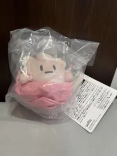 ピッピ E賞 巾着入りマスコット 一番くじ ポケモン ポケットモンスター